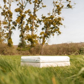 🌱 Sain et aéré, plus abordable et plus vert que la plupart des matelas en mousse. Ce modèle est le best-seller de la gamme LMV, plus encore depuis sa diffusion sur Capital-M6. Doux, sain et confortable, il offre un couchage de grande qualité grâce à de nombreuses certifications poussées. Un matelas mousse et écologique, c’est tout le concept qui fait sa réputation.

#literieecoresponsable #matelasecoresponsable #literiefrancaise #literiefrance #matelasfrance #matelasfrancais #matelasecoresponsable #ecoresponsabilite #fabricationfrancaise #matelasdequalite #literiedequalite #drapslin #drapsrespirants #dormir #dormirenete #drapsenlin #drapsdequalite #drapsnaturels